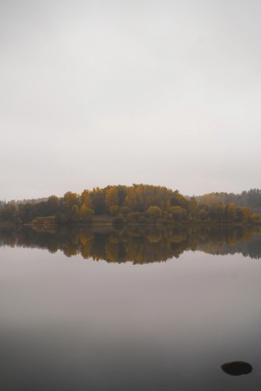 Глэмпинг Ruza River Club - фото 11