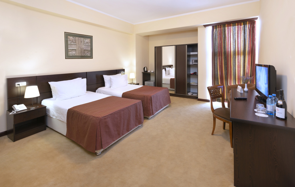 Ani Central Inn Hotel - Chambres