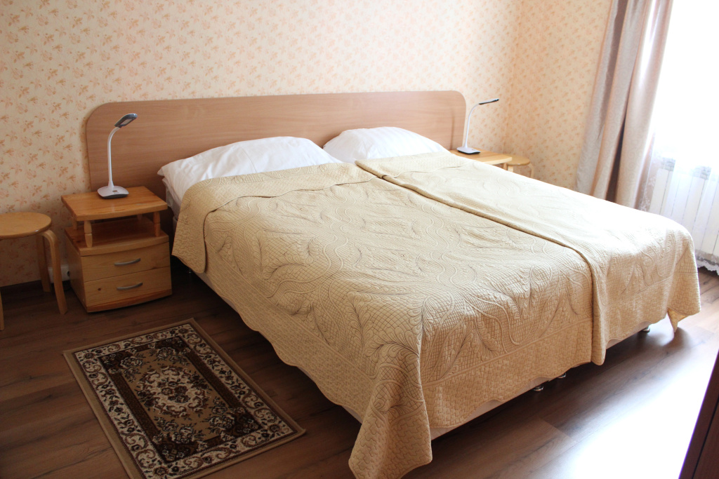 Vyirubovo Hotel Room Type - Standard Double room full double bed