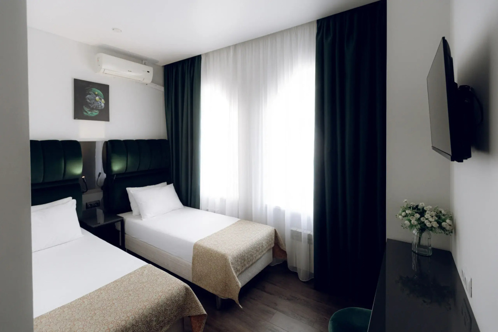 Standard Double room (twin beds)