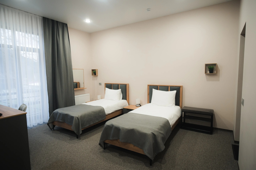 Standard Double room with balcony and with mountain view (twin beds)
