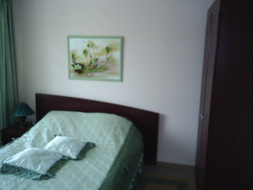 Edinstvo Hotel Room Type - Superior Single room