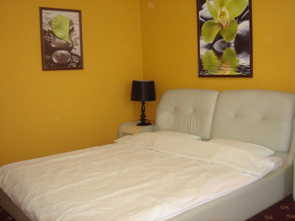 Deluxe Double room with city view (full double bed)