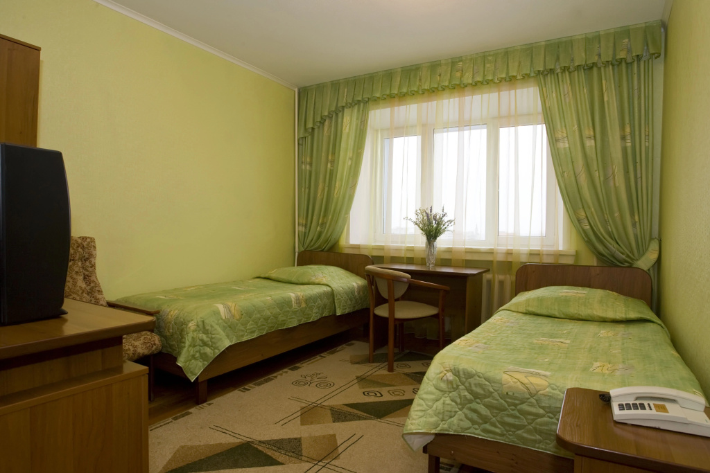 Standard Double room with city view (twin beds)
