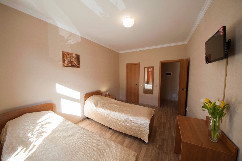 Economy Double room (twin beds)