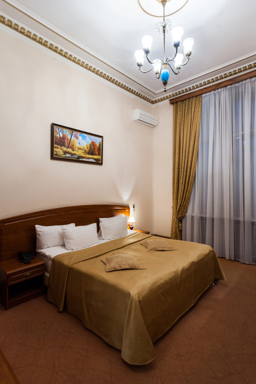 Deluxe Double room (full double bed)