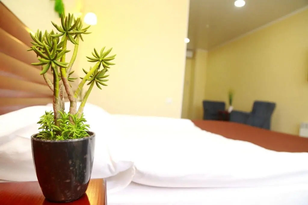 Standard Double room with view twin beds