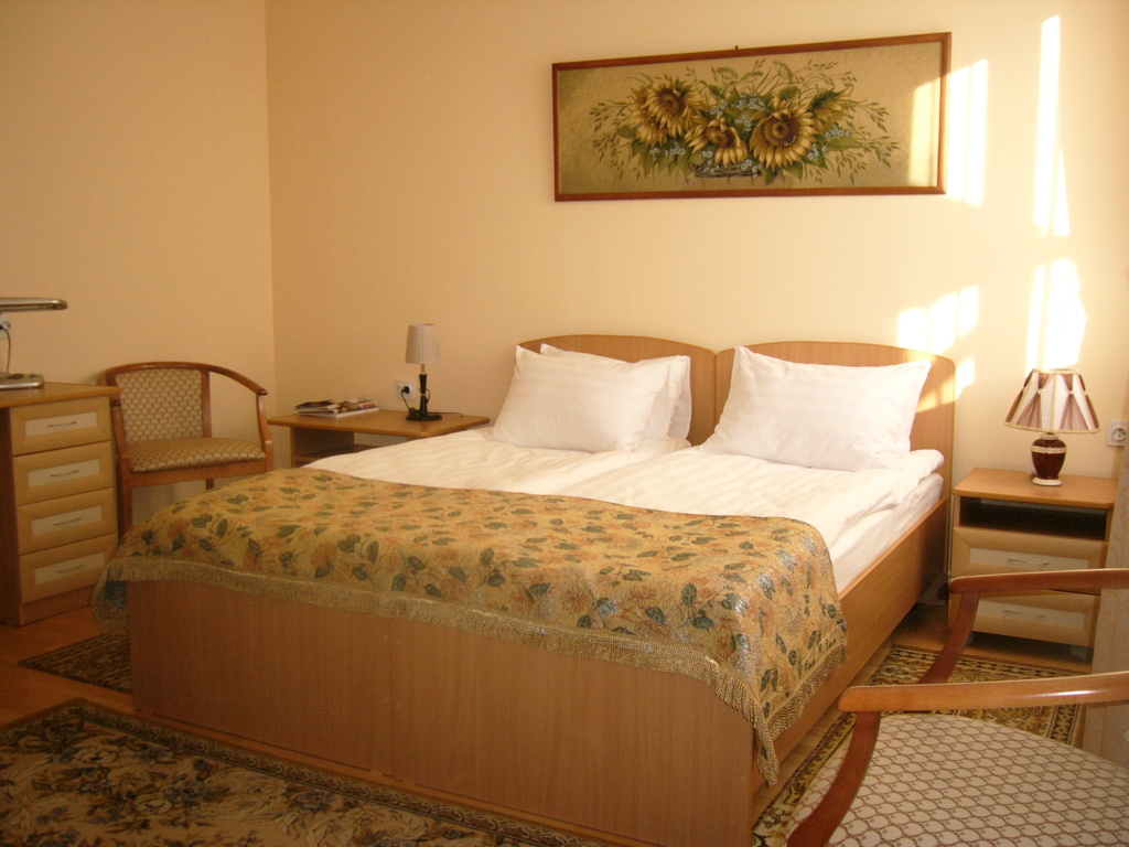 Okolitsa Hotel Room Type - Standard Double room twin beds