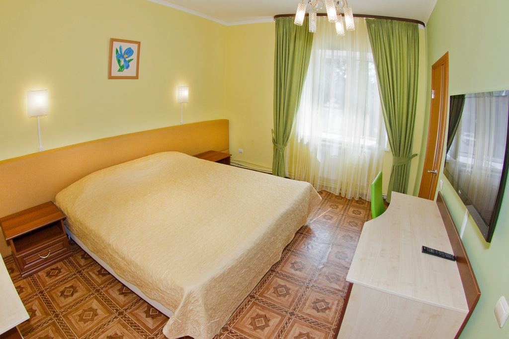 Standard Double room (full double bed)