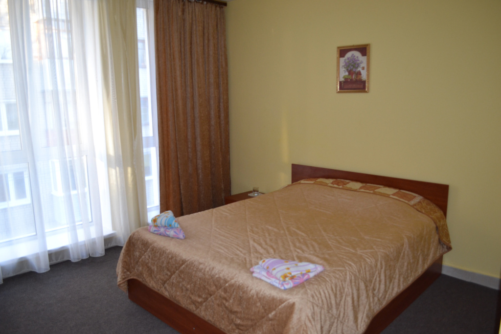 Arta Mini-Hotel Room Type - Standard Double room full double bed