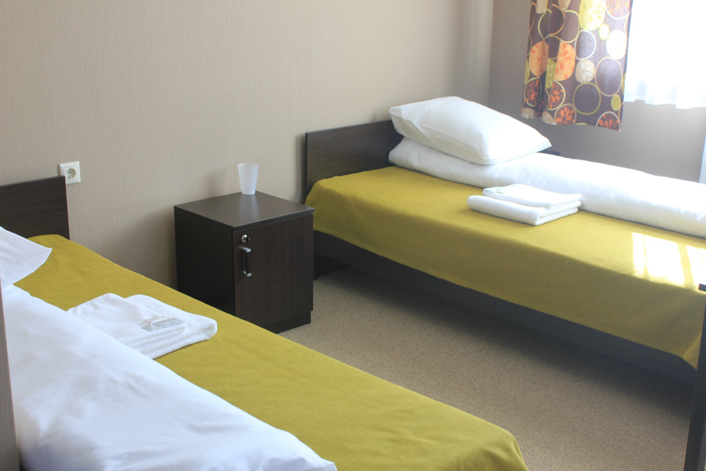 Standard Double room (twin beds)