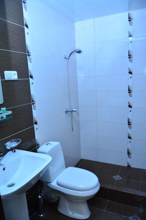 Ani Central Inn Hotel - Chambres