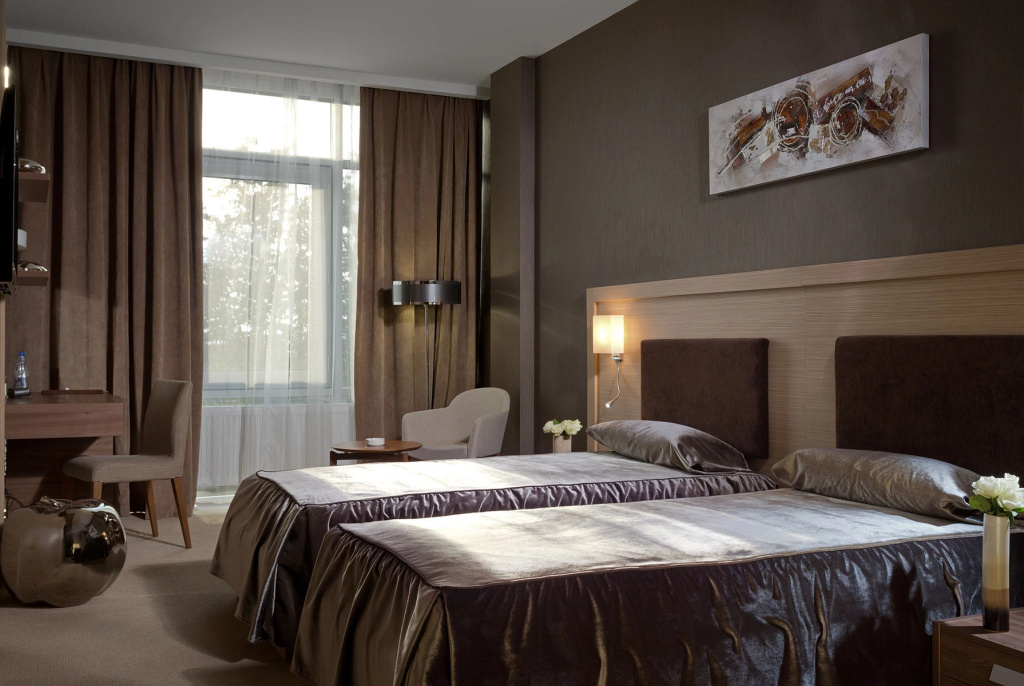 Standard Double room (twin beds)
