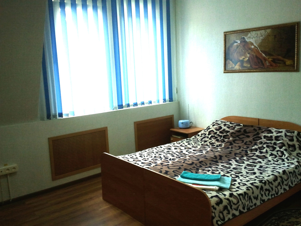 Standard Double room (full double bed)