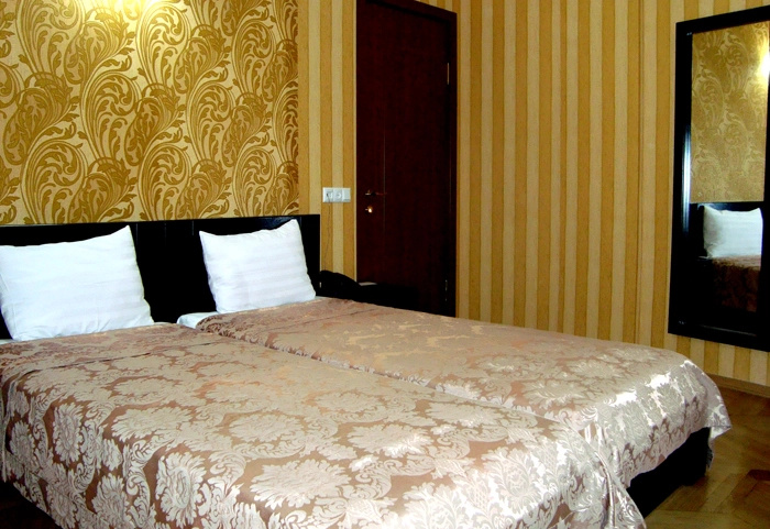 Deluxe Double room (twin beds)