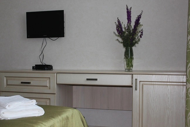 Standard Double room (twin beds)