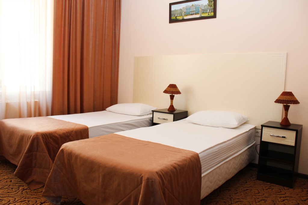 Standard Double room (twin beds)