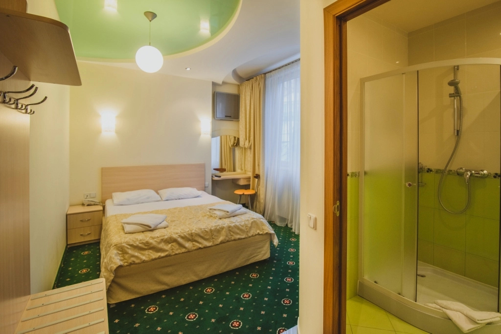 Standard Double room with city view (full double bed)
