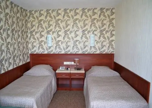 Volgo-Don Hotel Room Type - Standard Double room twin beds