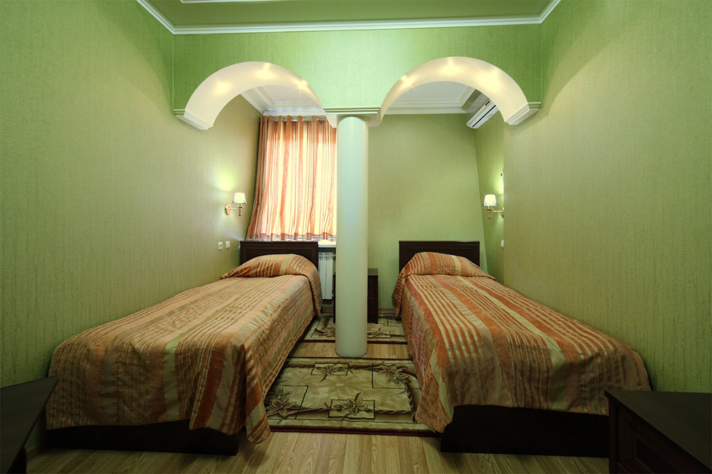 Standard Double room (twin beds)