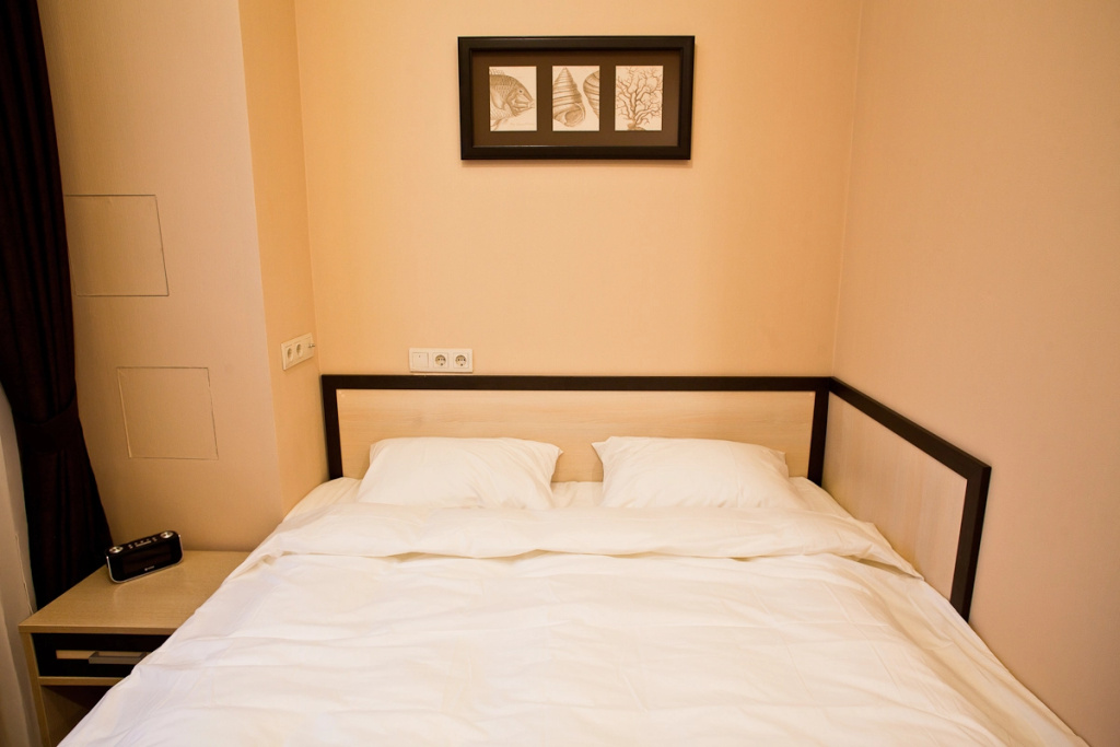 Yuzhnyij Port Hotel Room Type - Comfort Double room full double bed