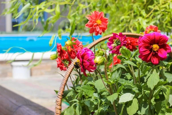 Гостевой дом Вояж - фото 21