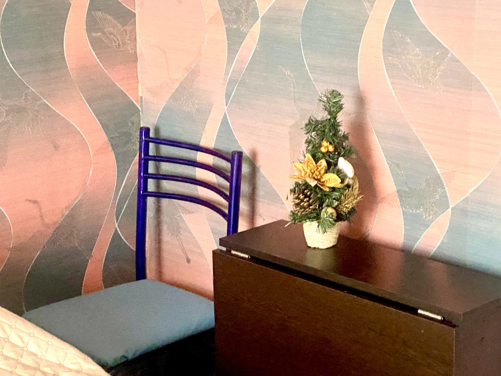 Четырёхместный номер с видом на достопримечательность Стандартный в Турецкий фонтан