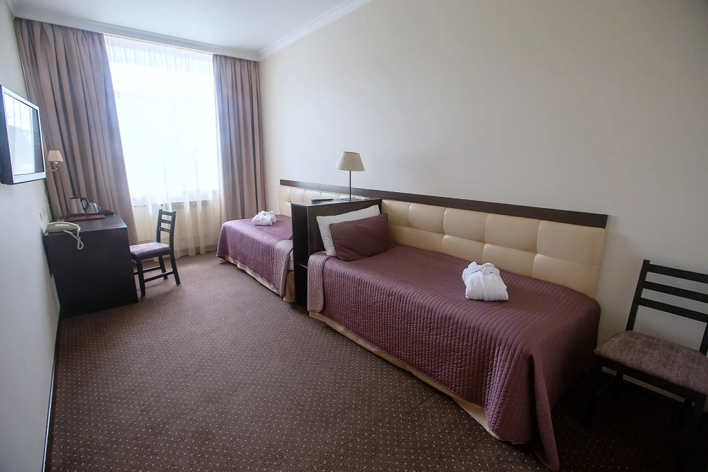 Bardin Room Type - Standard Double room twin beds