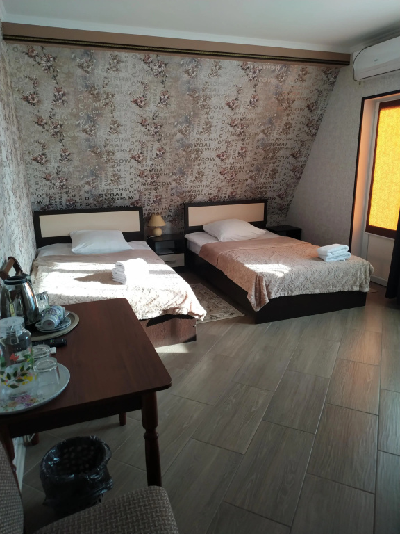 Double Junior Suite with balcony (twin beds)