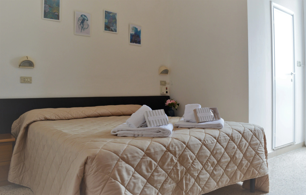 Standard Double room with balcony (full double bed)
