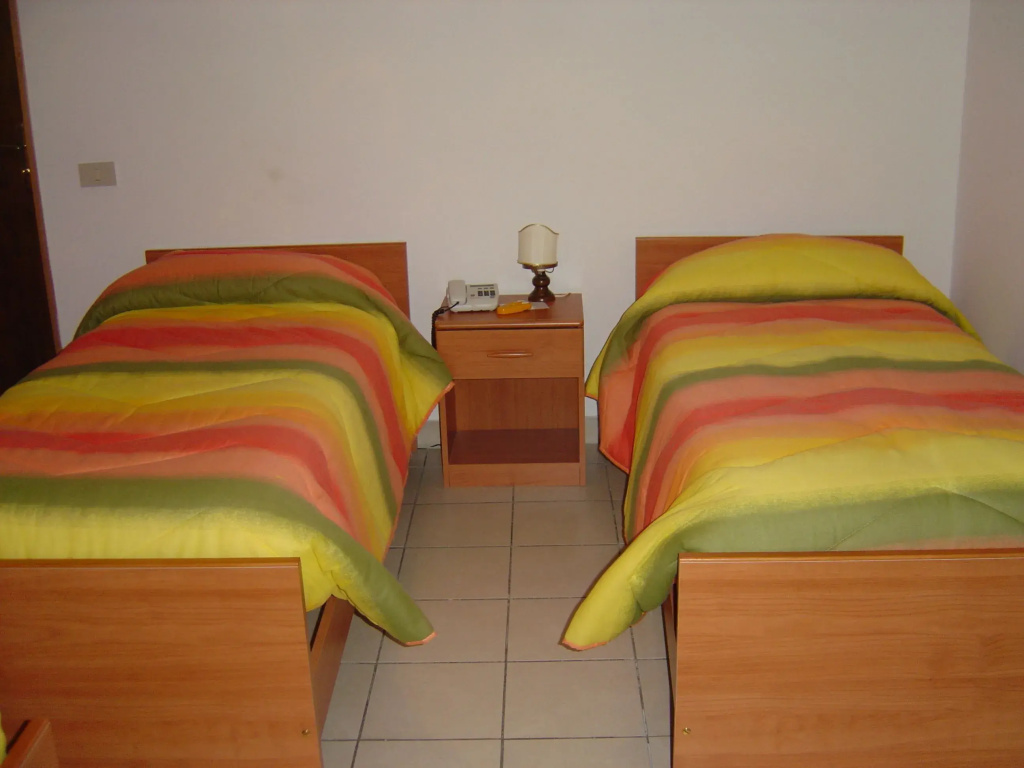 Standard Double room (twin beds)