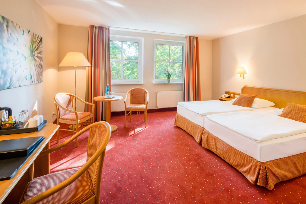 Comfort Double room (full double bed)