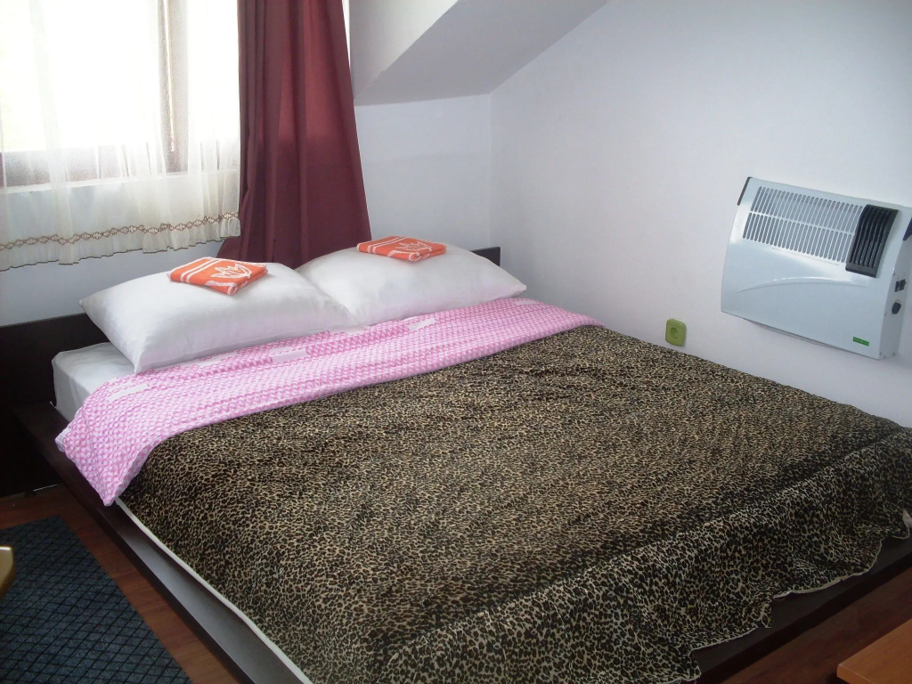 Standard Double room (full double bed)