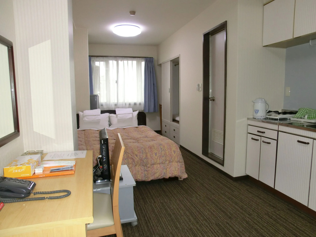 Standard Double room (full double bed)