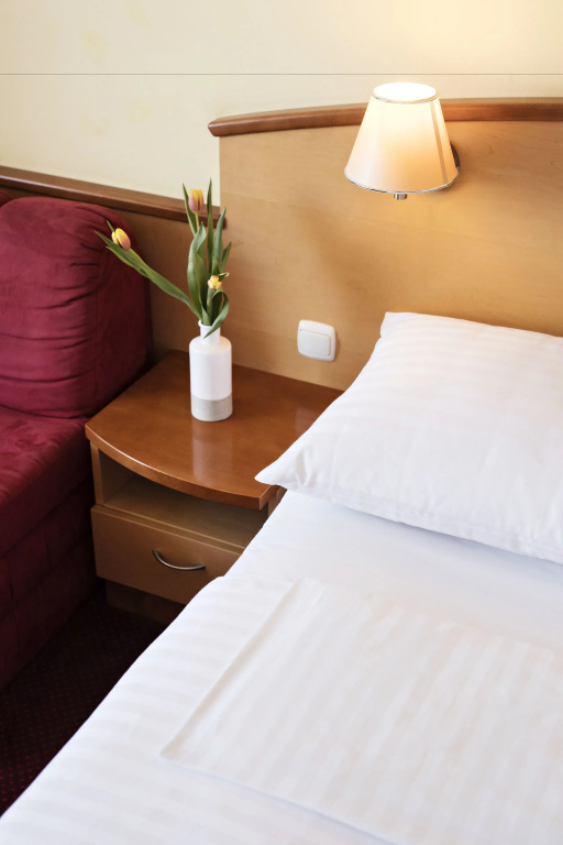 Thermal Resort Lendava Hotel - Chambres