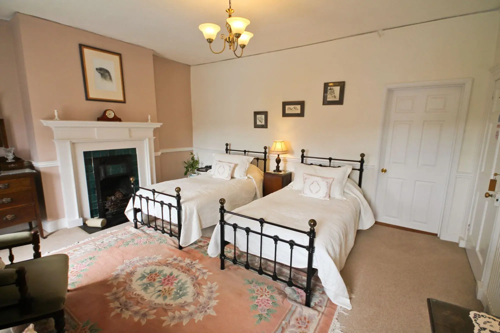 Deluxe Double room (twin beds)