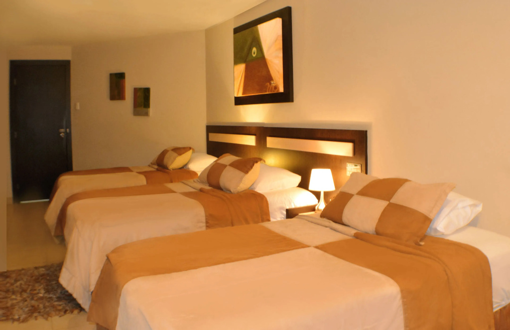Standard Triple room (3 single beds)