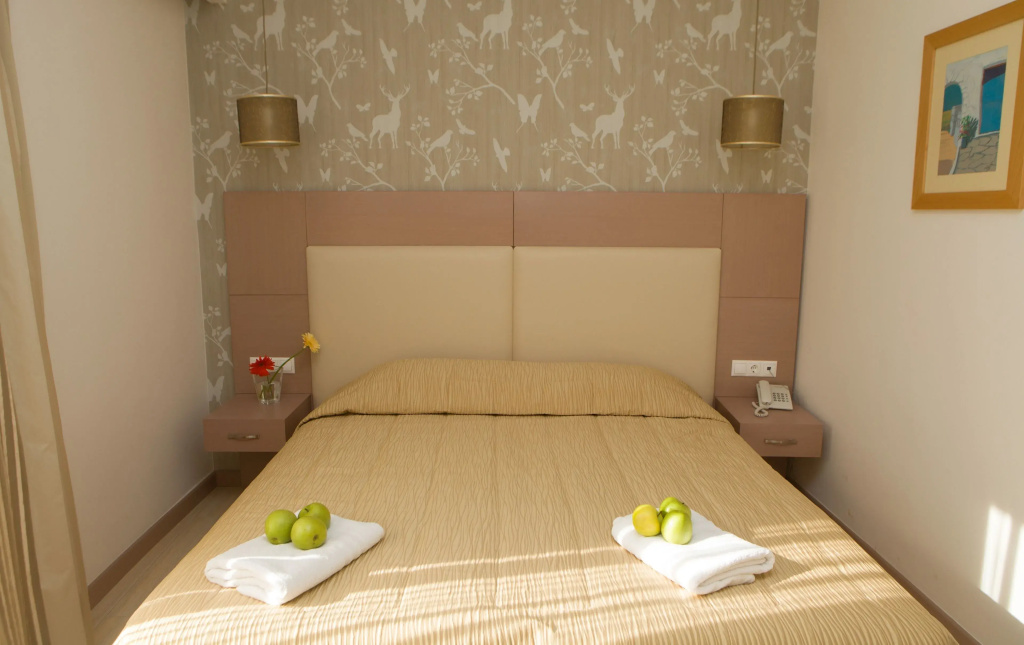 Standard Double room (full double bed)