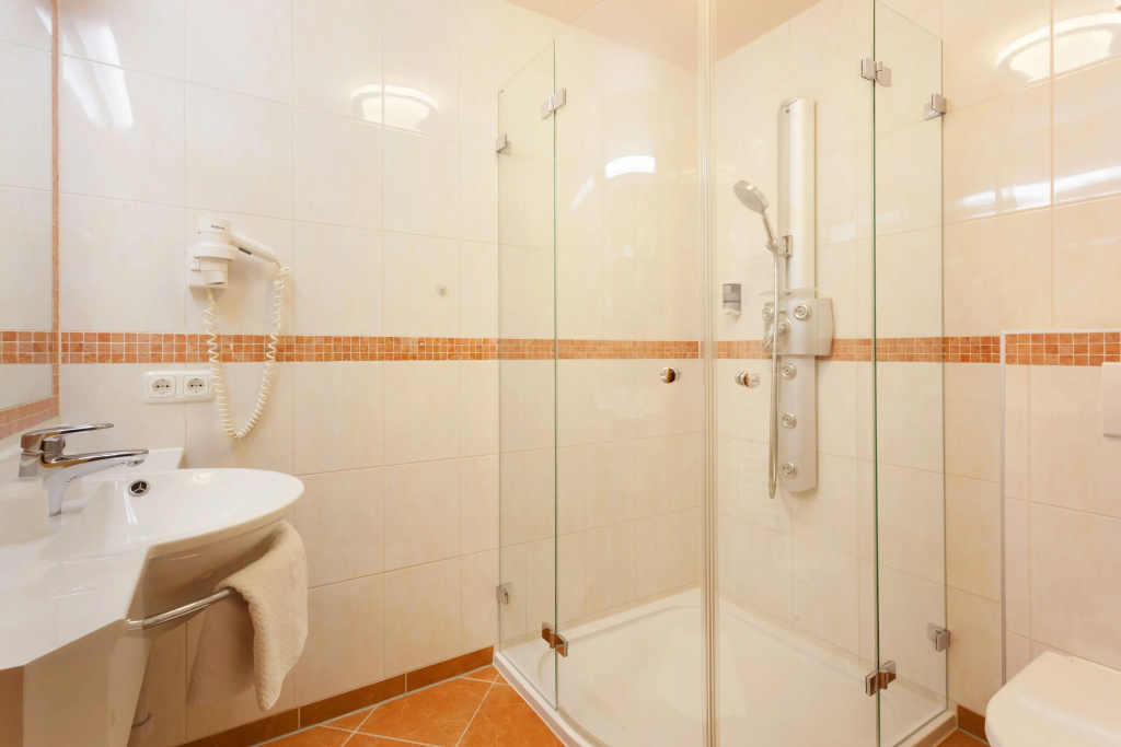 Standard Double room with balcony and with mountain view (full double bed)