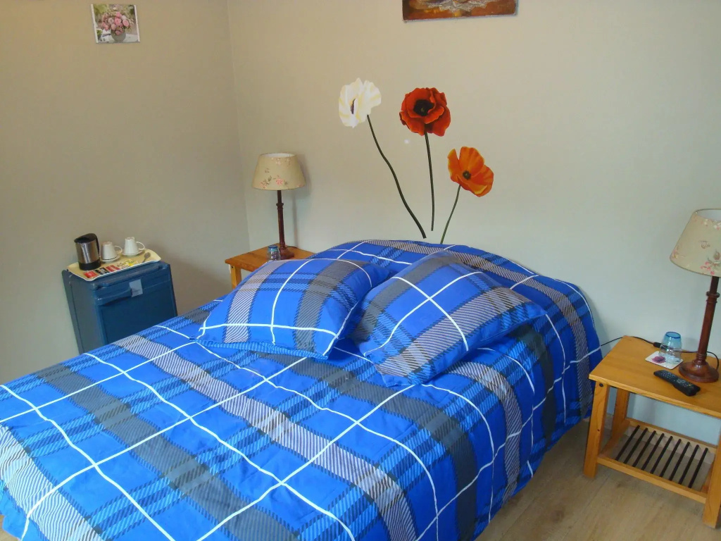 Standard Double room (full double bed)