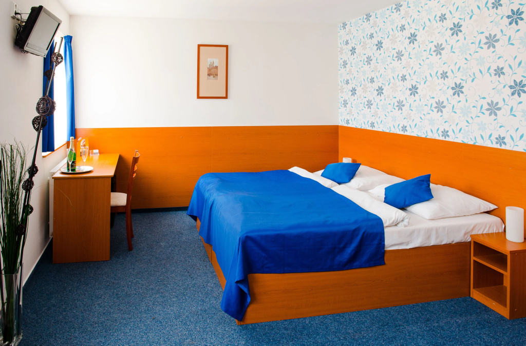 Standard Double room (full double bed)