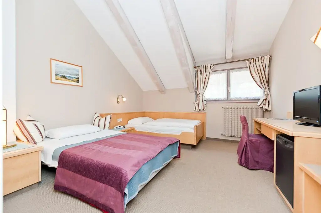 Standard Double room (twin beds)