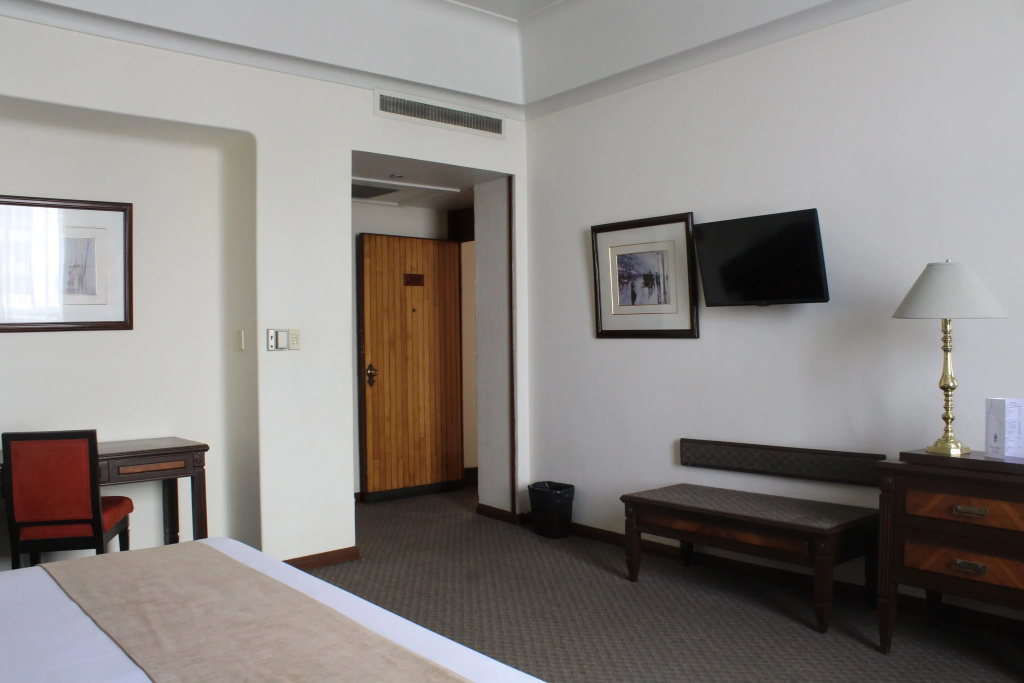 Standard Double room (full double bed)