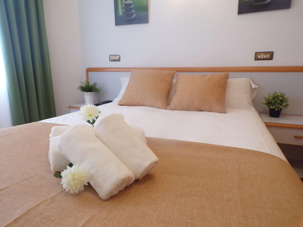 Standard Double room (full double bed)