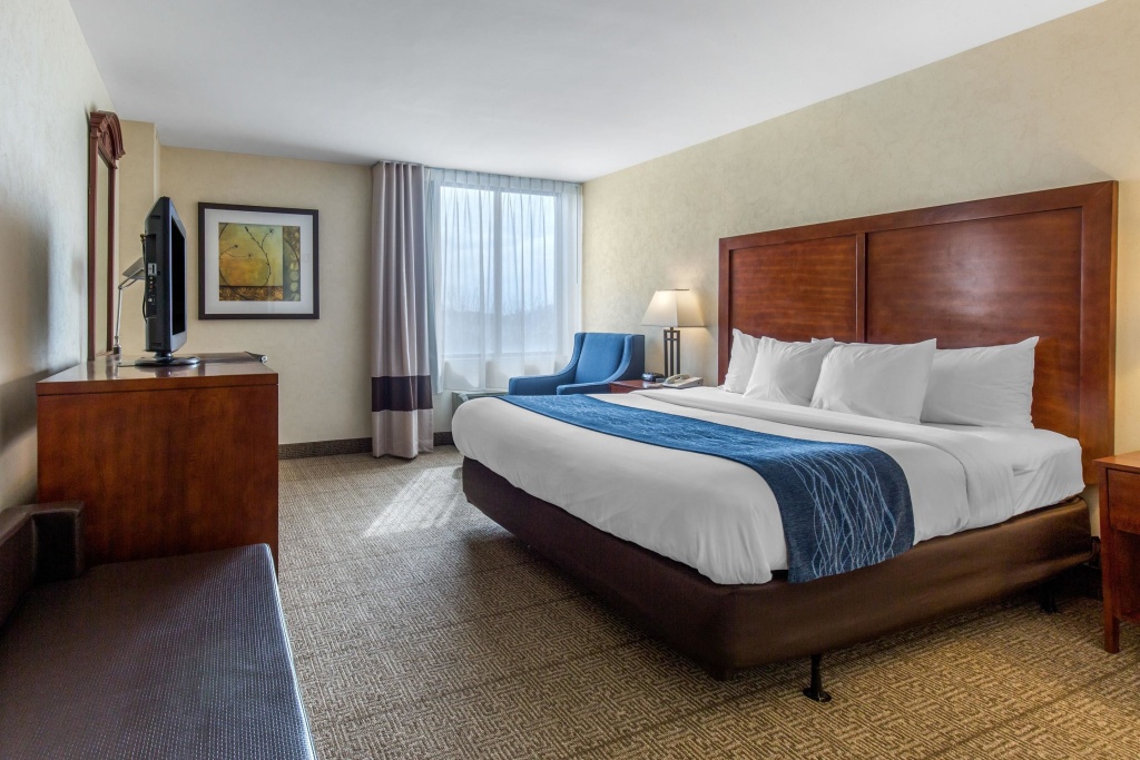 Comfort Inn Conference Center Room Type - Standard Double room (full double bed)