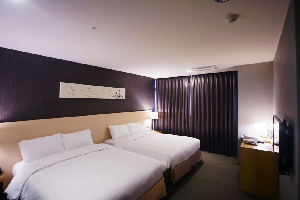 Deluxe Double room (twin beds)