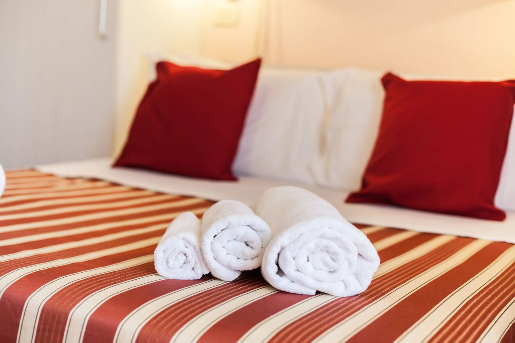 Standard Double room (full double bed)