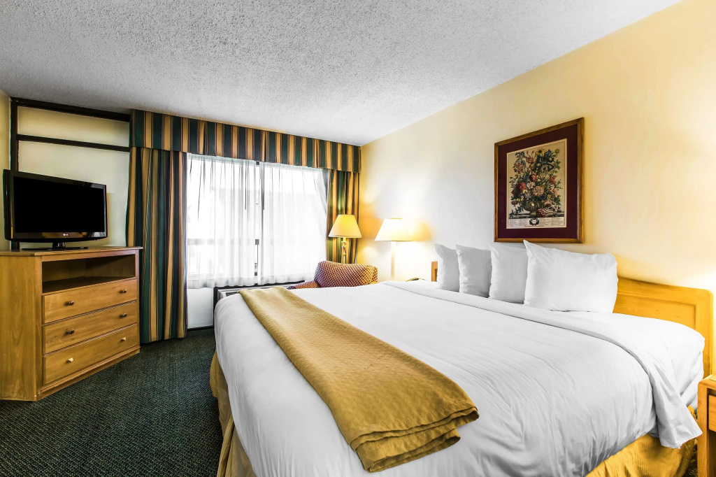 Quality Inn & Suites - Chambres