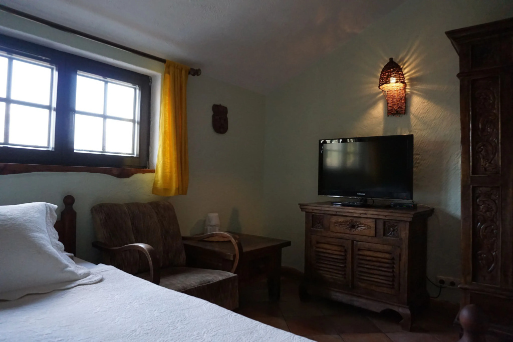 Standard Double room with lake view (full double bed)