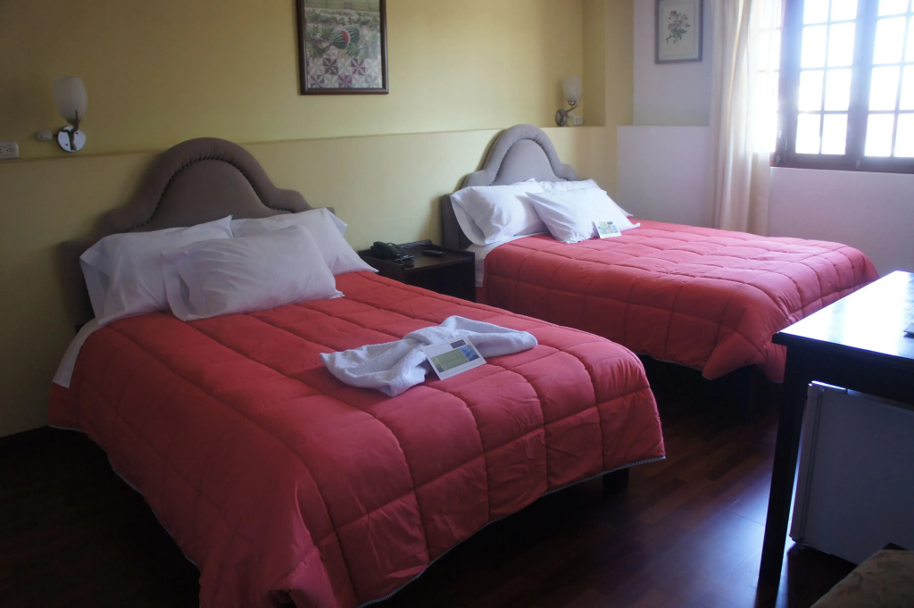 Standard Double room (twin beds)